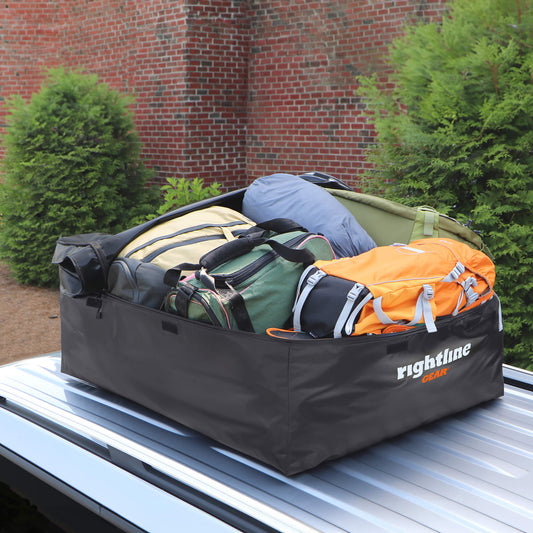 Rightline Gear Ace 2 Cargo Carrier